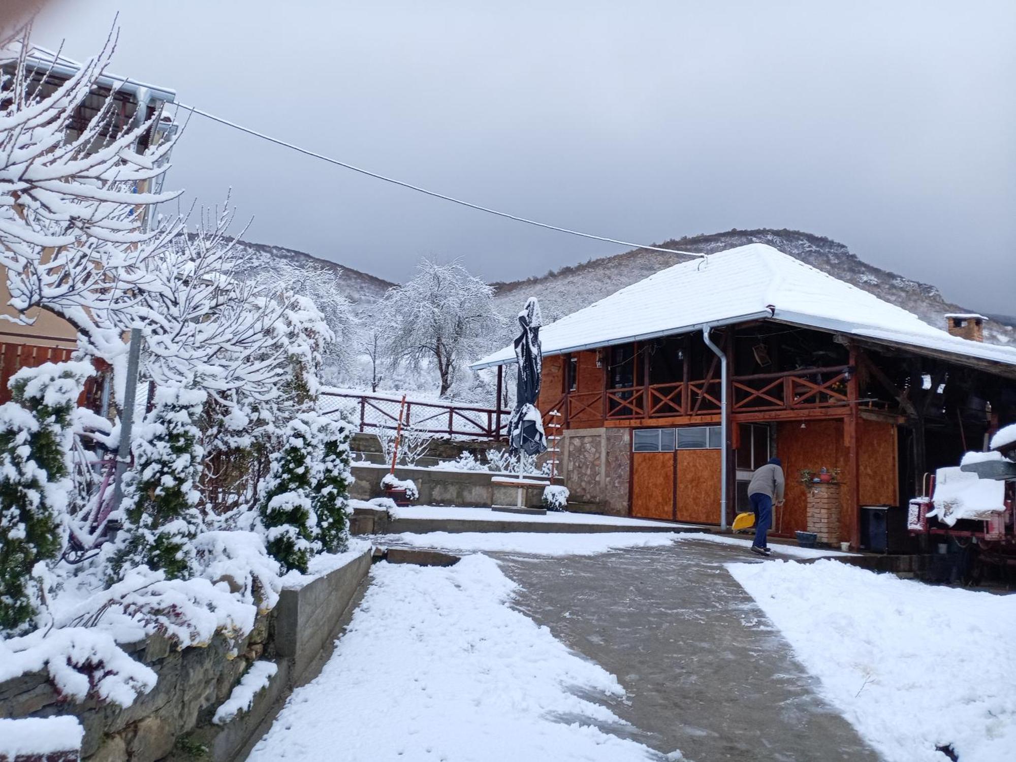 KalnaSeosko Turisticko Domacinstvo Stanisicアパートメント エクステリア 写真